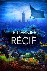 Le dernier r&eacute;cif