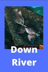 Down River poster