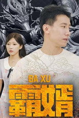 霸婿 poster
