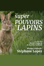 Les super pouvoirs du lapin poster