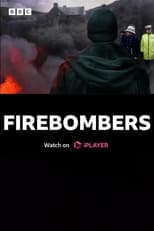 Poster for Firebombers 