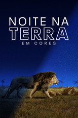 Noite na Terra em Cores