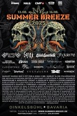 In Extremo: Live at Summer Breeze 2025