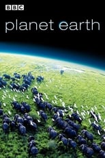 Poster di Pianeta Terra