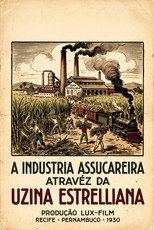 A Indústria Assucareira Através da Uzina Estrelliana