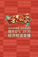 沈视春晚 poster