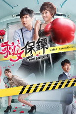 剩女保鏢 poster