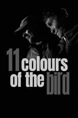 Poster for 11 Colours of the Bird 