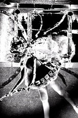 Nine Inch Nails: Came Back Haunted poster