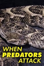 Poster for When Predators Attack