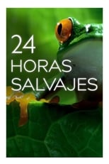 24 Horas Salvajes