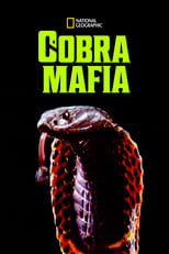 Poster for Cobra Mafia