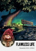 Flawless Life main poster