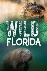 Wild Florida poster