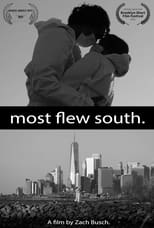 Poster for Most Flew South 