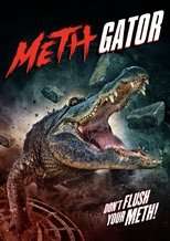 Meth Gators poster