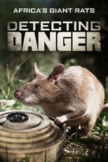 Poster for Detecting Danger: Africa's Giant Rats