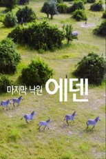 추석특선다큐 마지막 낙원, 에덴 poster