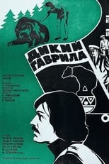 Poster for Дикий Гаврила