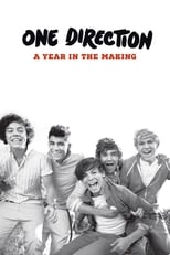 One Direction: Un año en la industria