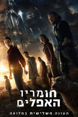 משקפת הענבר