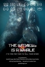 Poster for The Witness is a Whale 