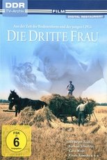 Poster for Die dritte Frau