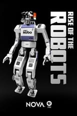 Poster for Rise of the Robots