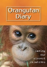 Poster for Orangutan Diary