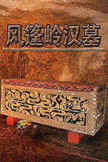 风篷岭汉墓 poster