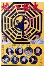 Poster for Shaolin Deadly Kicks