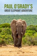 Poster for Paul O'Grady's Great Elephant Adventure