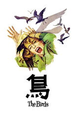 群鸟