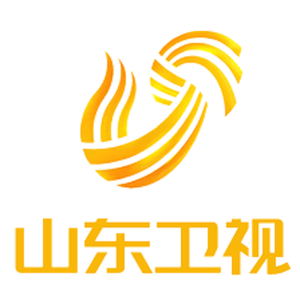 Shandong Television logo