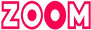 Zoom logo