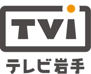 TVI logo