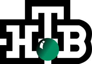 NTV  logo