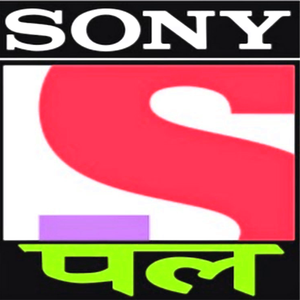 Sony Pal logo