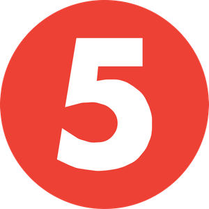 TV5 logo
