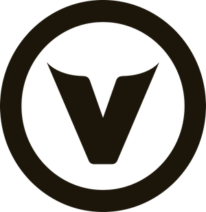 V logo