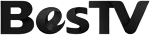 BesTV logo