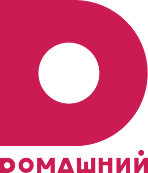 Domashniy logo