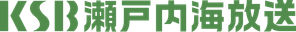 KSB logo