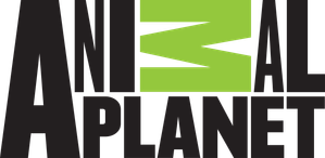 Animal Planet Brasil logo
