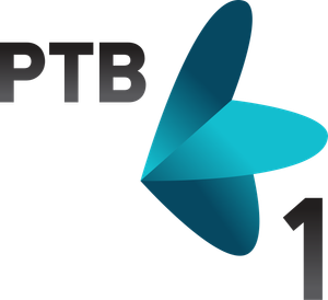 RTV 1 logo