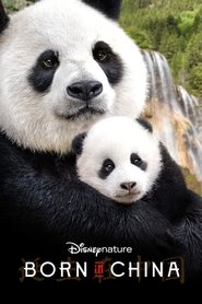 gallery-thumbnail