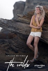 Poster of The Wilds image size 510x755