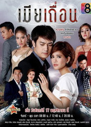 The Illicit Wife