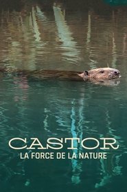 poster Castor, la force de la nature