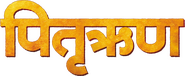Logo of Pitruroon image size 666x274